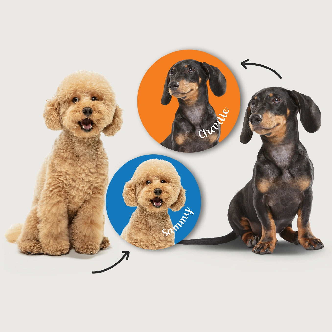 Personalisierter Autoaufkleber "Hundefoto"