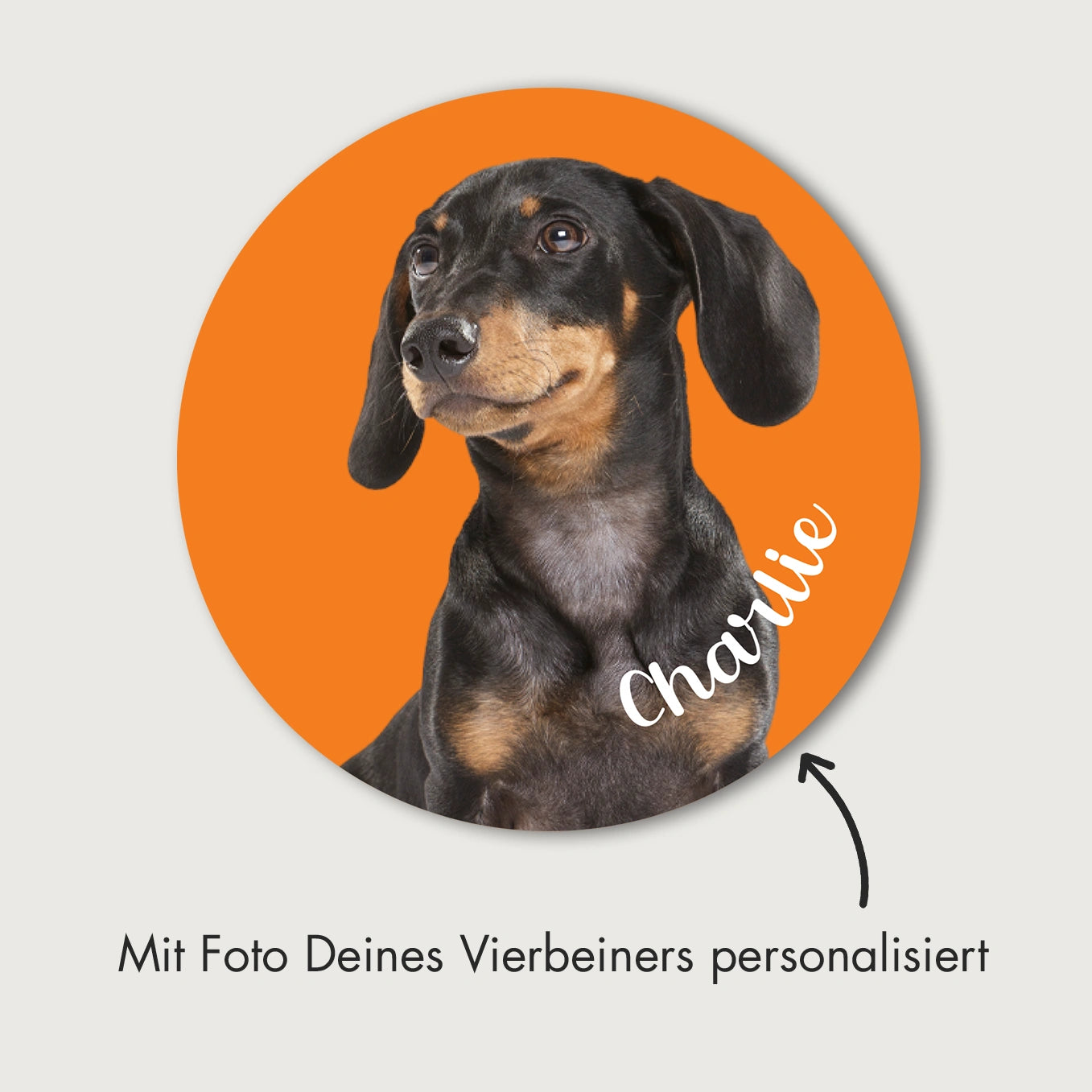 Personalisierter Autoaufkleber "Hundefoto"