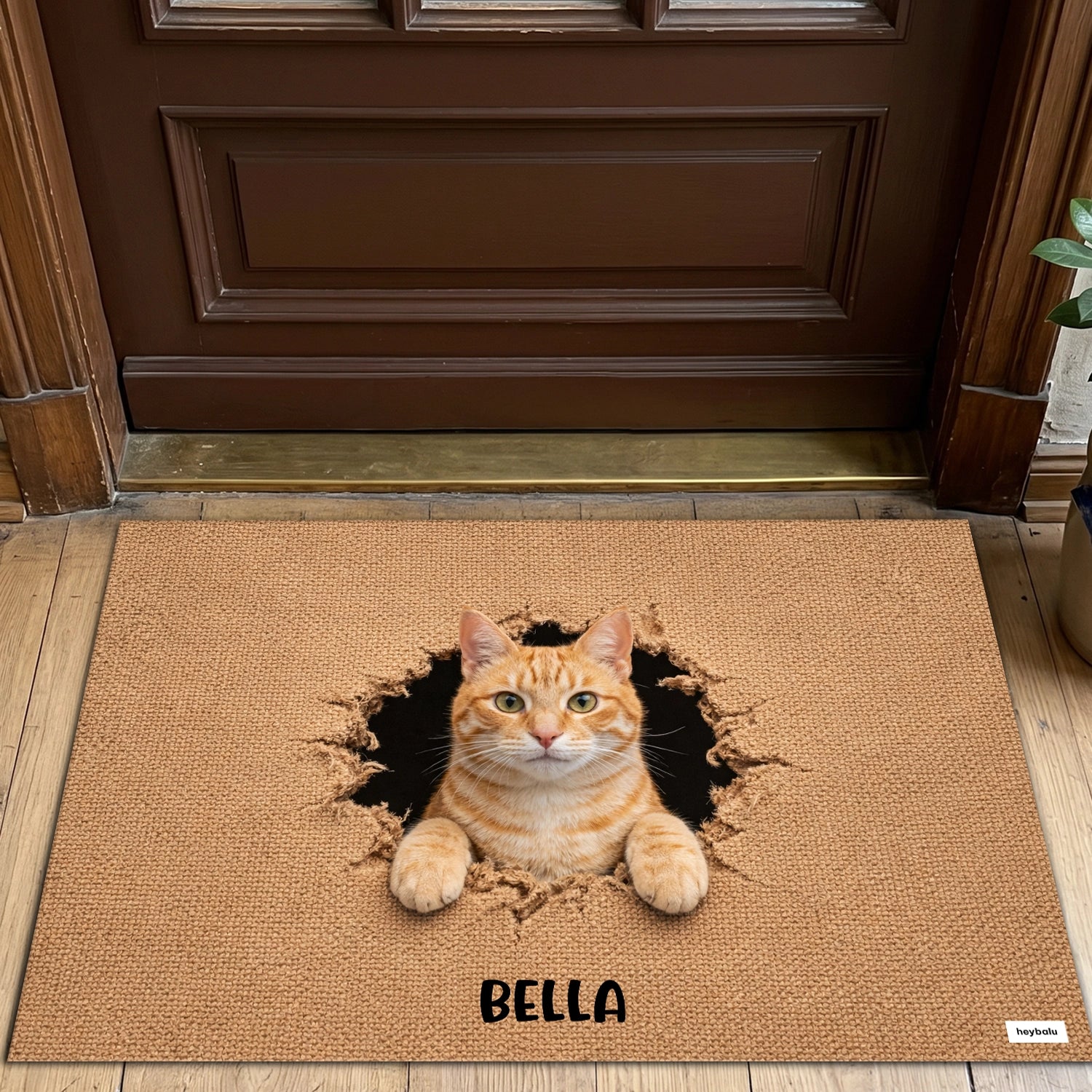 Personalisierte Fußmatte Katze "Durchbruch"