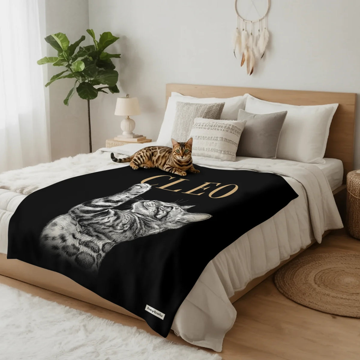 Bengalkatze liegt auf der schwarzen Retro-Katze-Decke im Schlafzimmer