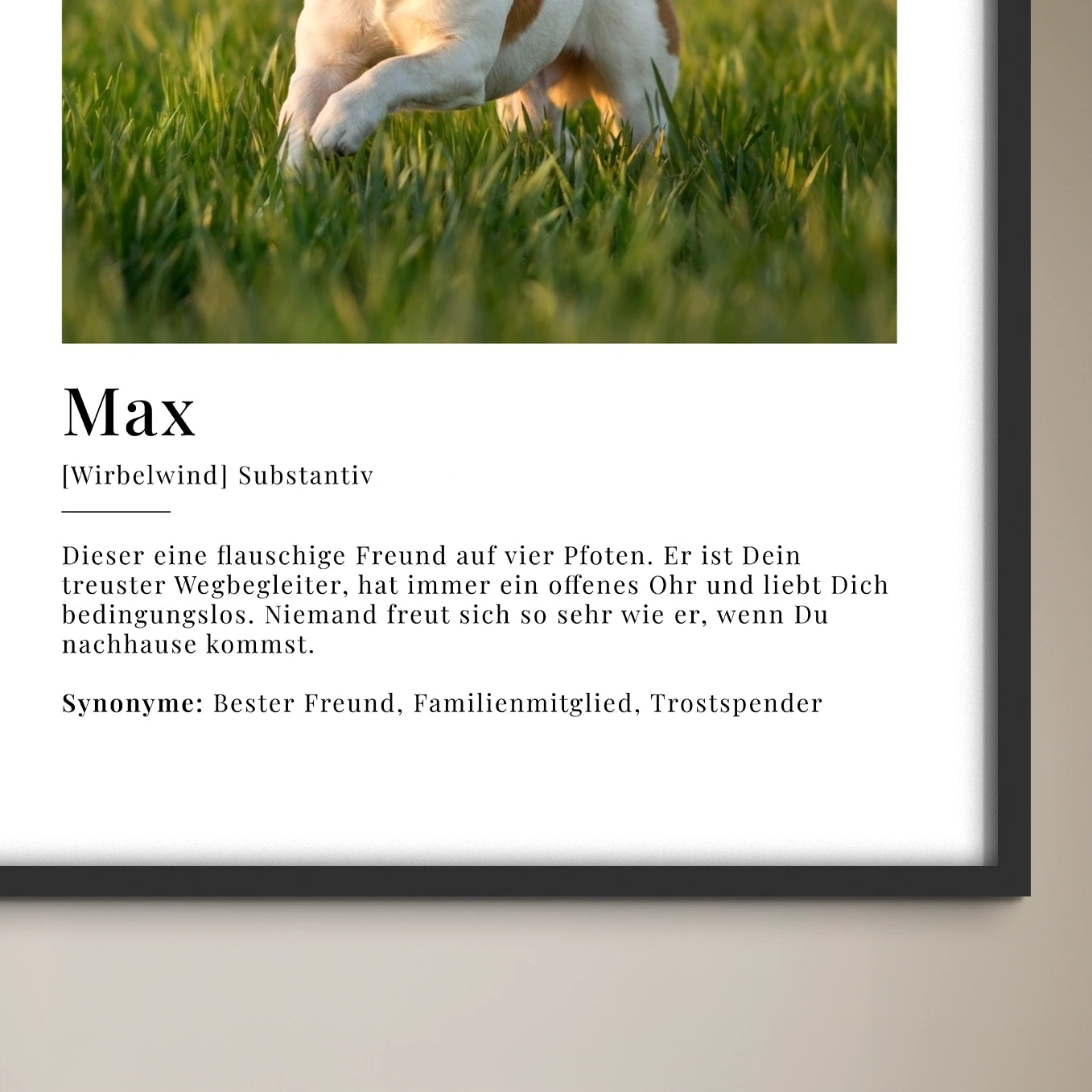 Personalisiertes Fotoposter "Haustier Definition"