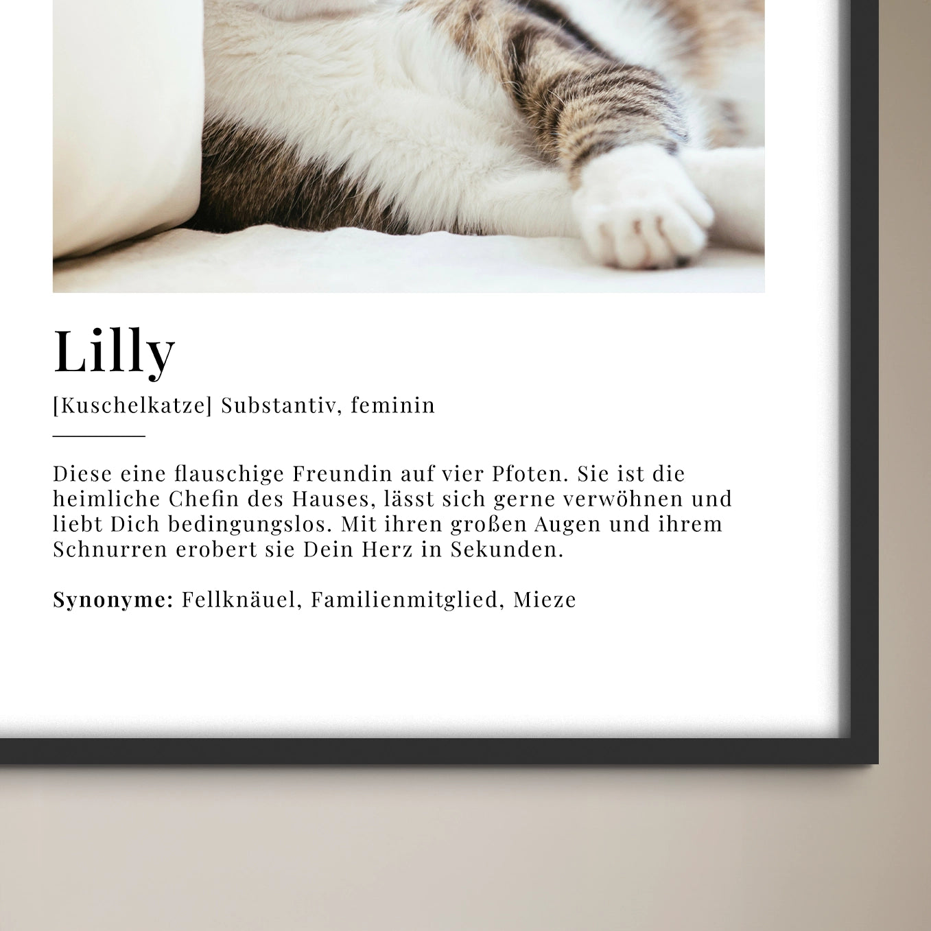 Personalisiertes Fotoposter "Katze Definition"