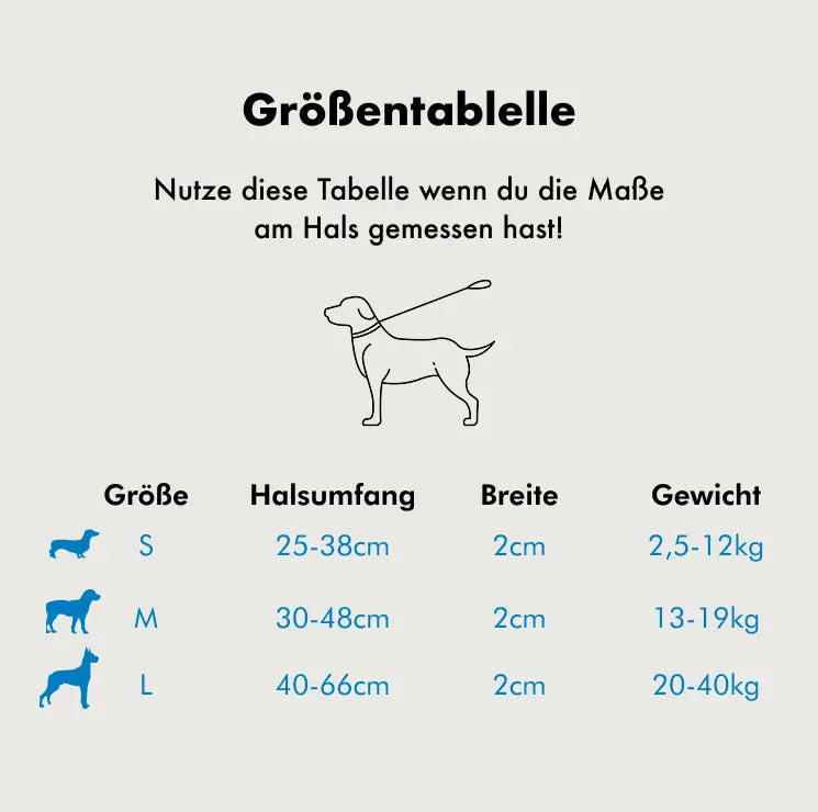 Personalisiertes Hundehalsband "Wunschmotiv"