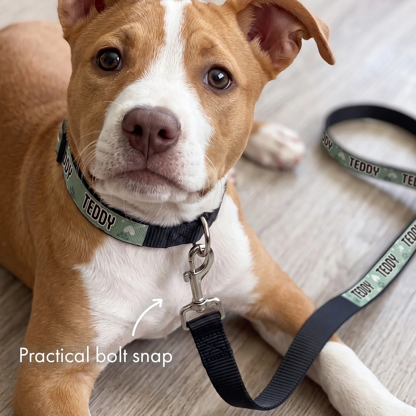 (US) Personalisiertes Hundehalsband und Leine "Herzen"