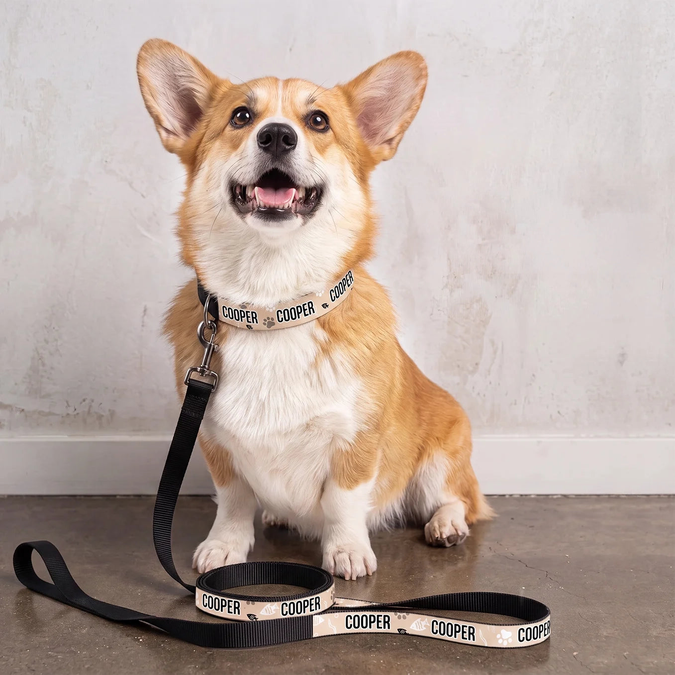 (US) Personalisiertes Hundehalsband und Leine "Herzen"